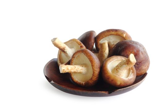 Several fresh shiitake mushrooms in wooden plate isolated over the white background, clipping path.