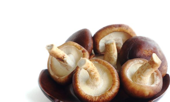 Several fresh shiitake mushrooms in wooden plate isolated over the white background.