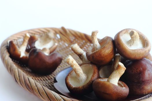 Several fresh shiitake mushrooms in basket on white background.