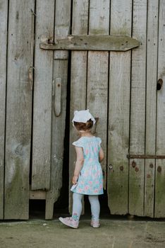 Curiuos child farmer playing in barn with cat in rustic poultry house in countryside farmyard farming lifestyle.