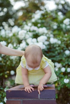 Smiling girl on the meadow looking right at camera. authentic image