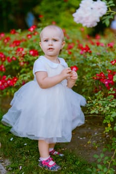 Smiling girl on the meadow looking right at camera. authentic image