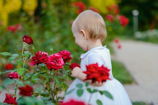Smiling girl on the meadow looking right at camera. authentic image. Smell roses flowers