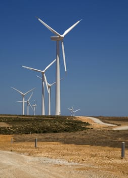 wind turbines farm. alternative energy source