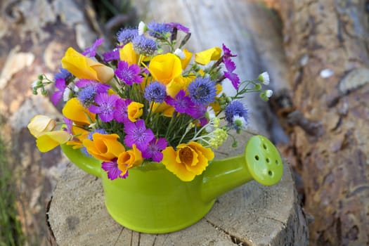 bunch of wild flowers in the  watering pot