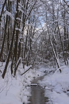 Trees covered with fresh snow in a cold and snowy winter day, and small forest river