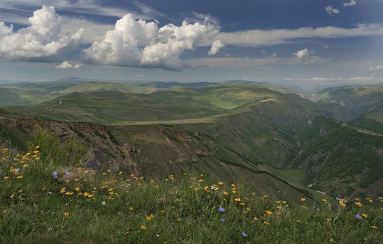 Alpine mountain meadow tranquil summer view.