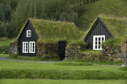 Tipical icelandic houses with roofs covered by ground and grass.