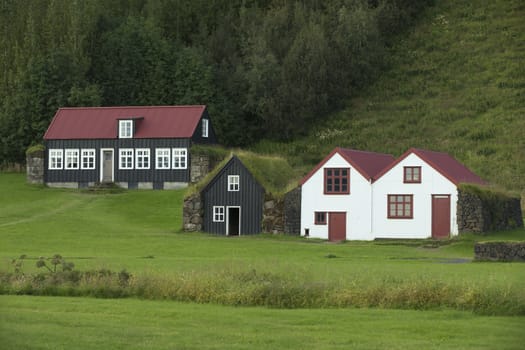 Tipical icelandic houses with roofs covered by ground and grass.