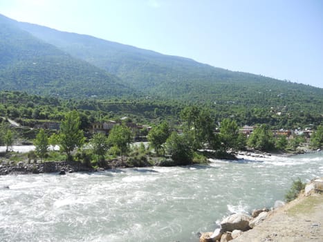 a nature scenery near the water stream