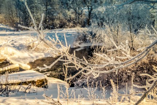 Winter sunny landscape with river and forest.