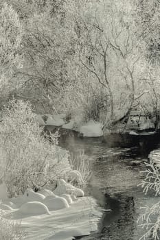 Winter sunny landscape with river and forest.