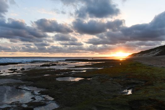 Low tide dusk sunset over wide moss covered rock pool beach, Mossel Bay, South Africa