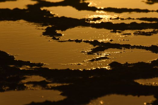 Ocean rock pools turn to liquid gold during sunset dusk, Mossel Bay, South Africa