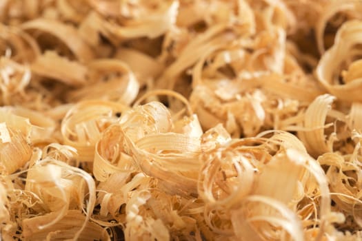 Close up view on wood shavings.