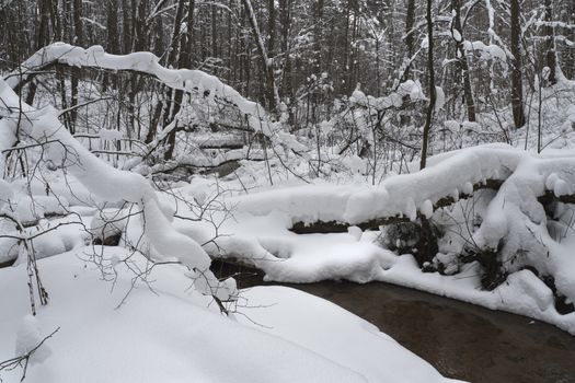 Beautiful winter landscape with snow covered trees