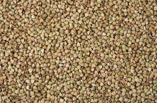 Natural fresh green buckwheat as background. Top view.