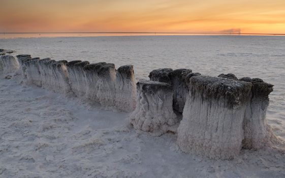Old wooden logs are Packed deep into the salty lake Baskunchak. An old method of salt mining.