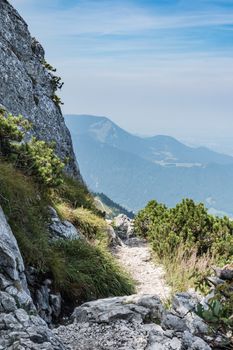 Path on Kampenwand in Bavaria Alps in Summer