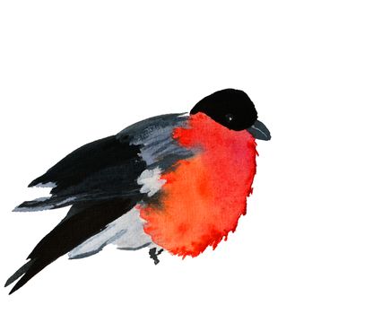 Winter bullfinch on spruce with snow in bright colors