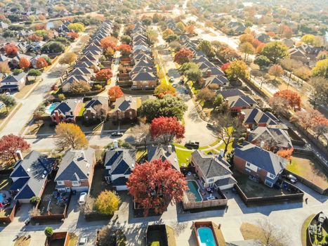 New development neighborhood near Dallas, Texas with colorful orange autumn leaves. Row of two story single family dwelling with large backyard, swimming pool, attached garage and wooden fence garden