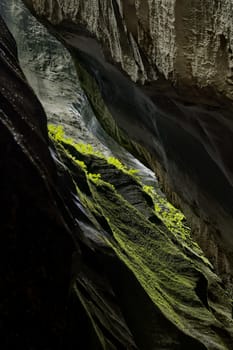 Beautiful green moss in the Aare Canyon between Meiringen and Innertkirchen, Bernese Alps, Switzerland