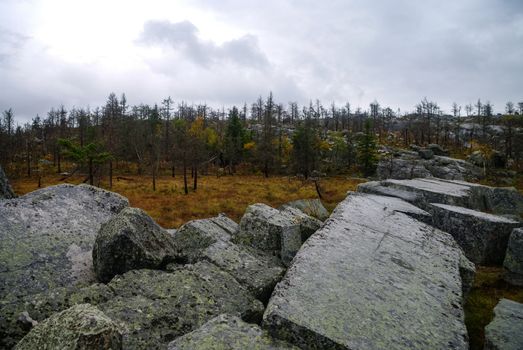 Small swamp on top of mountain Vottovaara with stones and dead trees, Karelia, Russia