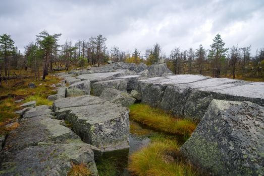 Small swamp on top of mountain Vottovaara with stones and dead trees, Karelia, Russia