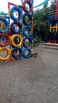 playing with tires in the park