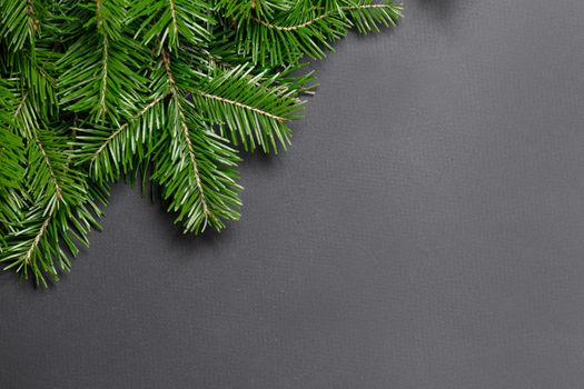 Pine Christmas tree branches on black paper background flat lay top view mock-up