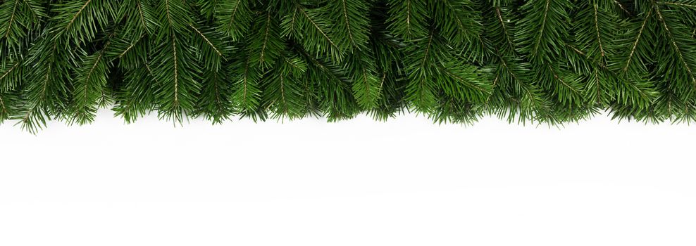 Natural fir Christmas tree border frame isolated on white , copy space for text