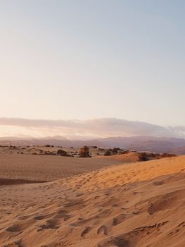 Maspalomas Dunes
