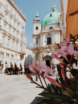 Vienna Flower Street