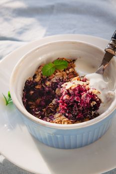 baked oat-blueberry crumble with mint in a white and blue plate on a rustic linen tablecloth. Save the space, top view. The concept of healthy proper nutrition for breakfast, vegetarianism