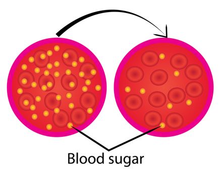 reduce blood sugar level control medical lab analysis vector illustration