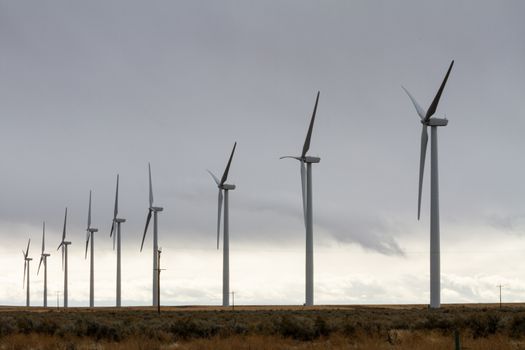 wind turbines after a storm