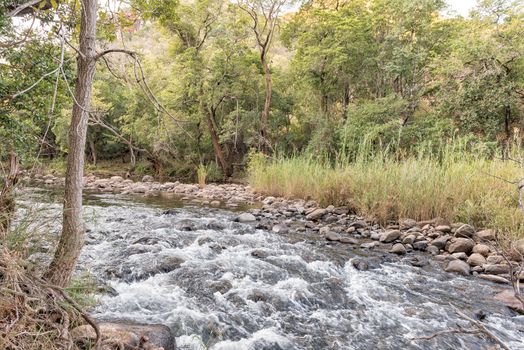 The Blyde River on the Kudu Trail at the Swadini Holiday Resort