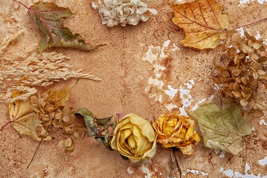 Dry leaves and flowers on a textured background