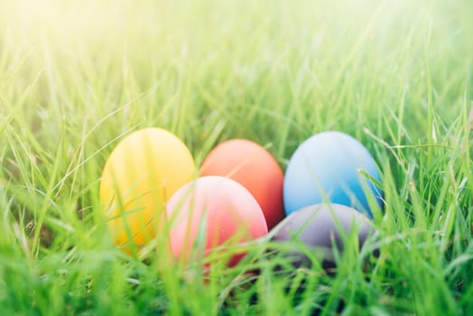 Easter egg on garden grass background, happy easter day concept