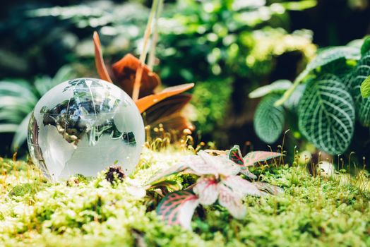 Globe glass in grass forest on nature background, Environment Day Concept