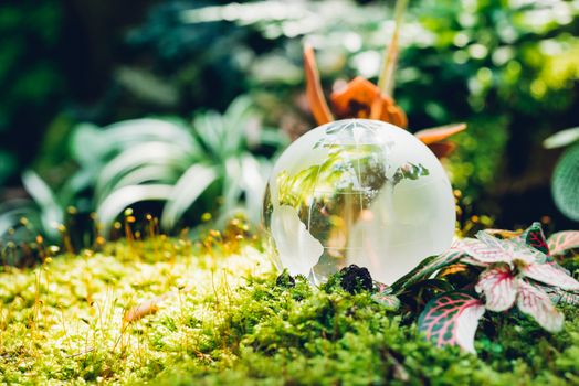 Globe glass in grass forest on nature background, Environment Day Concept