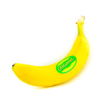 Single banana isolated on white background. One fresh banana with organic label signage, clipping path and copy space