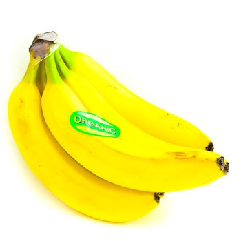 Close-up bright yellow banana cluster isolated on white background. Bunch of fresh bananas with organic label signage, clipping path and copy space