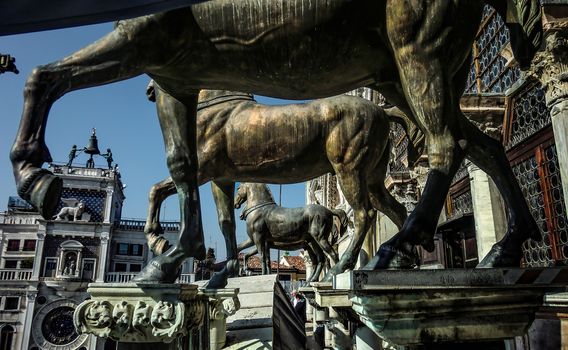 Detail of horse bronze statues found in the St. Mark's church in Venice.