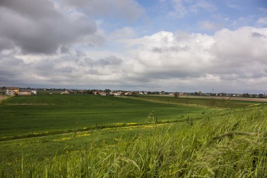Typical Italian countryside. rural area of northern Italy, with florid growing areas in a picturesque landscape and impact.