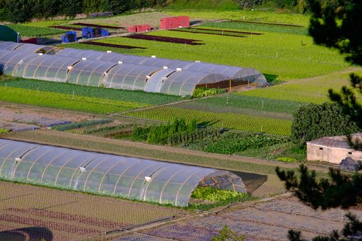 Greenhouses and other green farmlands in Pamplona, Spain