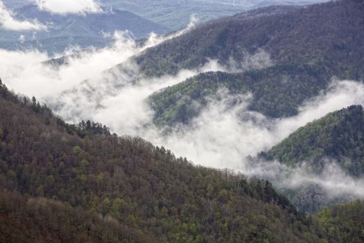 Mountains covered with forests, fog in the valley