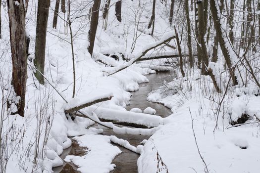 Trees covered with fresh snow in a cold and snowy winter day, and small forest river flowing under ice.