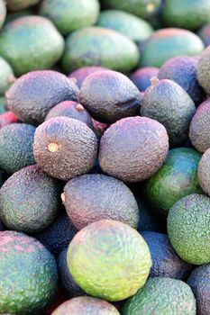 Heap of of green avocados