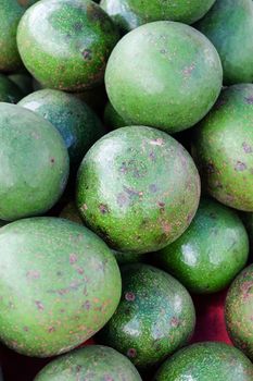 Heap of of green avocados